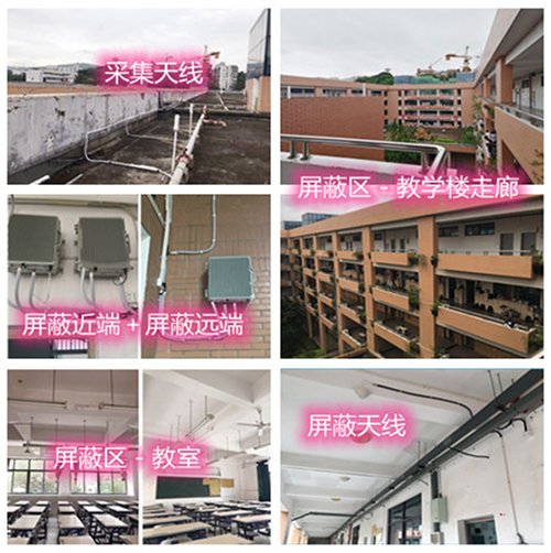  甘谷某中学考场屏蔽案例（数字信令级）
